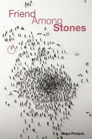 Cover of Friend Among Stones