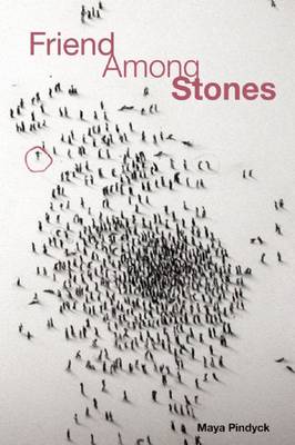 Book cover for Friend Among Stones