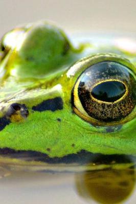 Book cover for Frog Ripple in the Water Journal