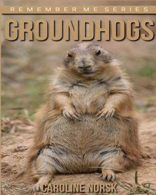 Book cover for Groundhogs