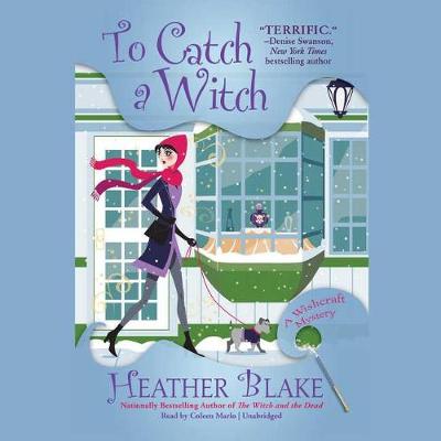Book cover for To Catch a Witch