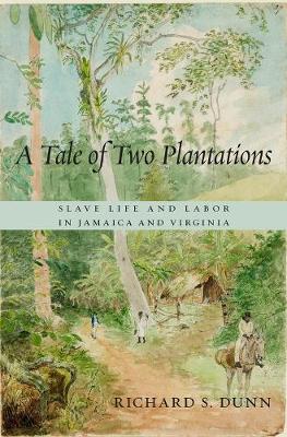 Book cover for A Tale of Two Plantations