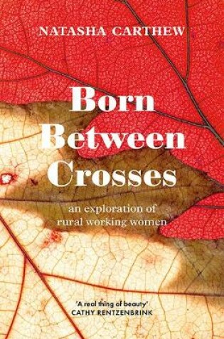 Cover of Born Between Crosses