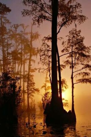 Cover of Okefenokee Swamp at Sunset in Florida