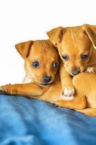 Cover of Two Cute Little Chihuahua Puppies Pet Journal