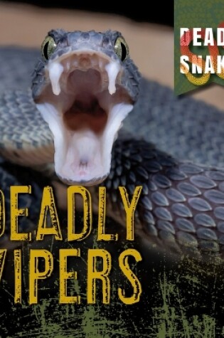 Cover of Deadly Vipers