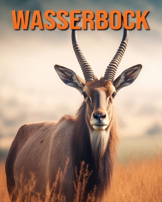 Book cover for Wasserbock