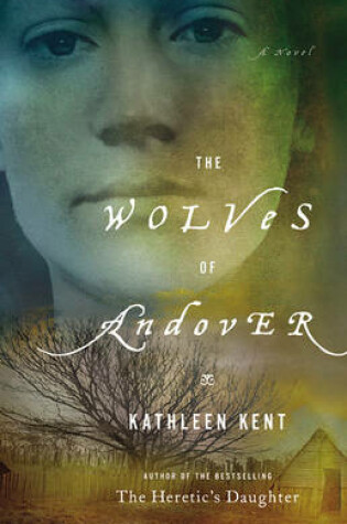 Cover of The Wolves of Andover