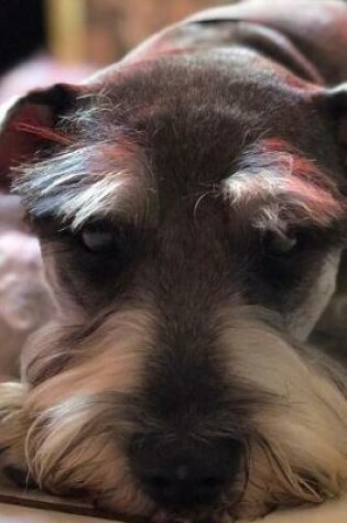 Cover of Schnauzer Dog Taking a Break Journal