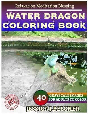 Book cover for Water Dragon Coloring Books