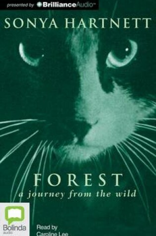 Cover of Forest