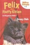 Book cover for Felix the Fluffy Kitten