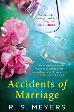 Cover of Accidents of Marriage