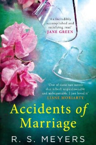 Cover of Accidents of Marriage