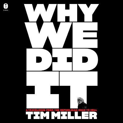 Book cover for Why We Did it