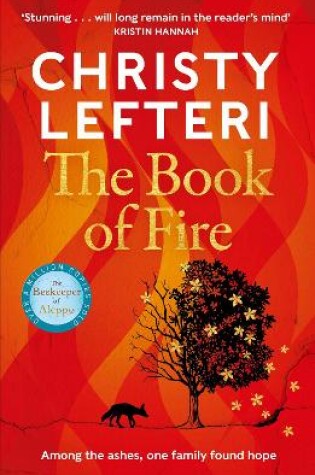 Cover of The Book of Fire