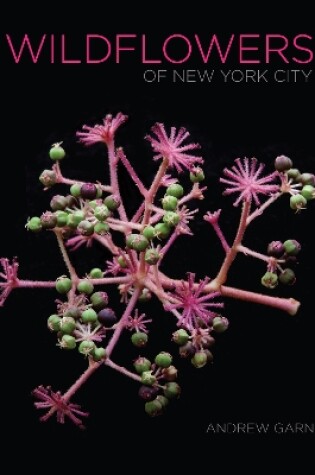 Cover of Wildflowers of New York City