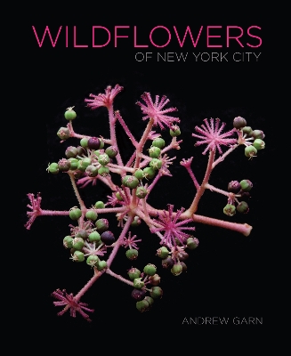 Cover of Wildflowers of New York City