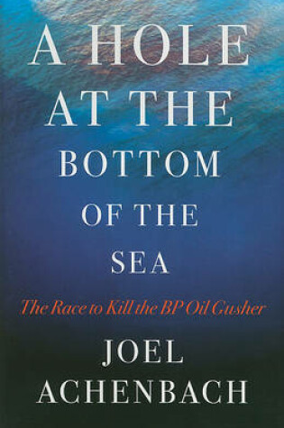 Cover of A Hole at the Bottom of the Sea