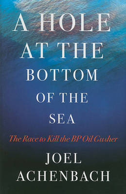 Book cover for A Hole at the Bottom of the Sea