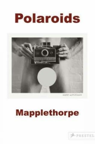 Cover of Mapplethorpe