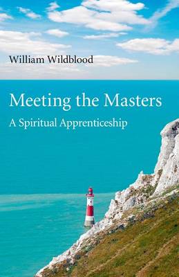 Book cover for Meeting the Masters