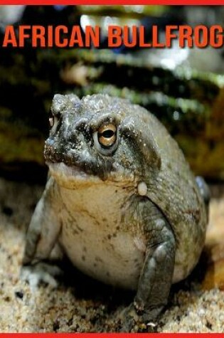 Cover of African Bullfrog