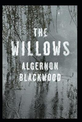 Book cover for The Willows Algernon Blackwood Illustrated