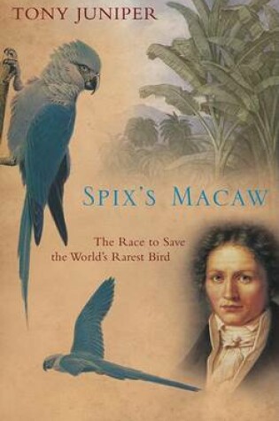 Cover of Spix's Macaw