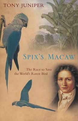 Book cover for Spix's Macaw