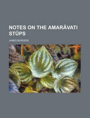 Book cover for Notes on the Amar Vati St PS