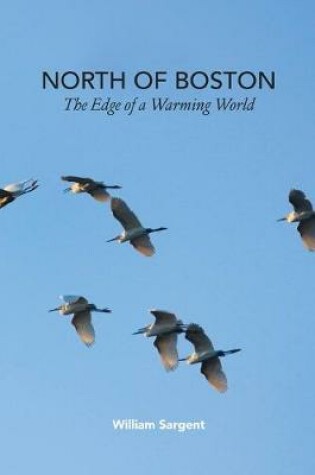 Cover of North of Boston- Whales and Tales
