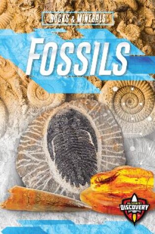 Cover of Fossils