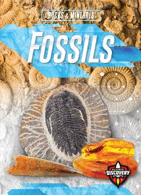 Book cover for Fossils