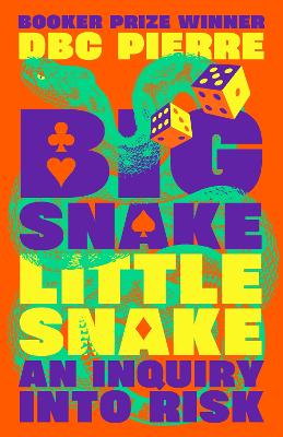 Book cover for Big Snake Little Snake