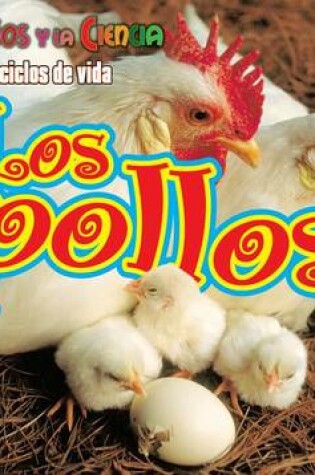 Cover of Los Pollos