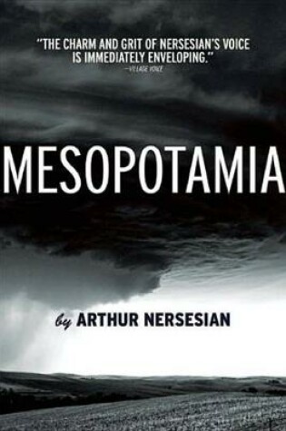 Cover of Mesopotamia