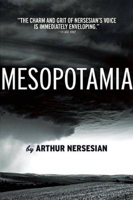 Book cover for Mesopotamia