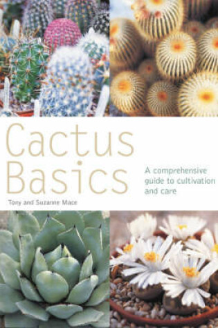 Cover of Cactus Basics (Pyramid PB)