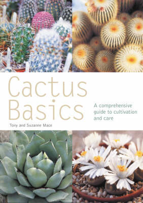 Book cover for Cactus Basics (Pyramid PB)