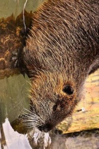 Cover of Nutria Heading Towards Water Journal