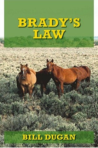 Cover of Brady's Law