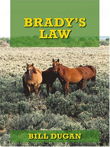 Book cover for Brady's Law