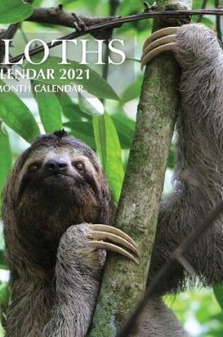 Cover of Sloths Calendar 2021