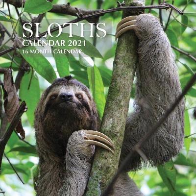 Book cover for Sloths Calendar 2021