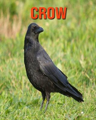 Book cover for Crow