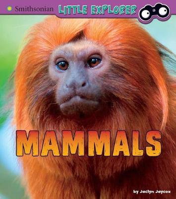 Book cover for Mammals: A 4D Book