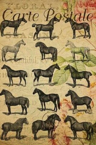 Cover of Carte Postale - Horse Breeds - Paris - Journal - 6 X 9 150 Lined Pages