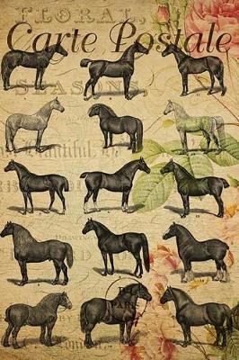 Cover of Carte Postale - Horse Breeds - Paris - Journal - 6 X 9 150 Lined Pages