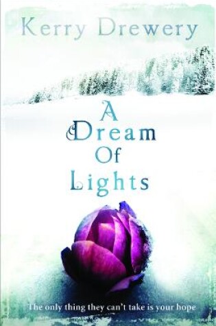 Cover of A Dream of Lights